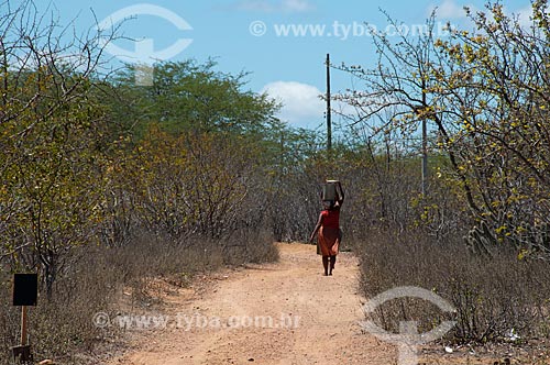  Subject: Women carrying cans of water on the head / Place: Ibimirim city - Pernambuco state (PE) - Brazil / Date: 08/2010  