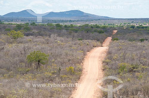  Subject: Dirt road that connects the towns of  Cabrobo and Terra Nova   / Place: Cabrobo city - Pernambuco state (PE) - Brazil / Date: 08/2010 