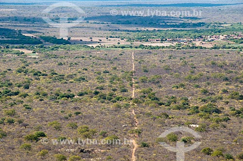  Subject: Aerial view of vegetation of the caatinga / Place: Umas district - Salgueiro city - Pernambuco state (PE) - Brazil / Date: 08/2010 