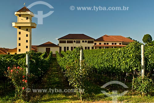  Subject: Miolo Winery / Place: Bento Gonçalves city - Rio Grande do Sul state (RS) - Brazil / Date: 02/2009 