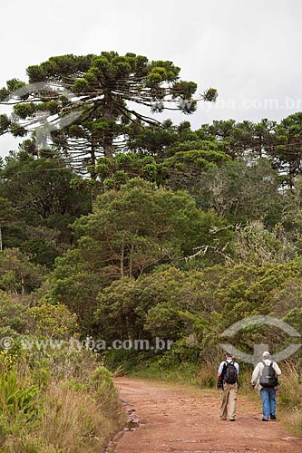  Subject: Tourists in Aparados da Serra National Park / Place: Cambara do Sul city - Rio Grande do Sul state (RS) - Brazil / Date: 03/2011 