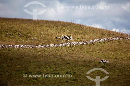  Subject: Taipa wall (stone wall made ??without any other construction material) - Region of Campos de Cima da Serra / Place: Rio Grande do Sul state (RS) - Brazil / Date: 03/2011 