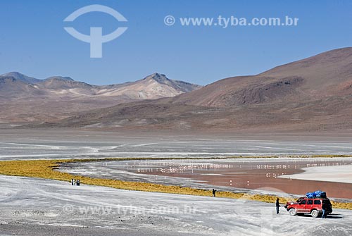  Subject: Laguna Colorada - Eduardo Avaroa National Reserve - The path to the Salar de Uyuni / Place: Bolivia - South America / Date: 01/2011 