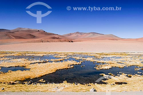  Subject: Lagoon of Kuepiaco / Place: Atacama Desert - North of Chile - South America / Date: 01/2011 