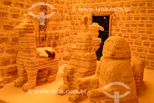  Subject: Museum of salt in the Salar de Uyuni / Place: Bolivia - South America / Date: 01/2011 