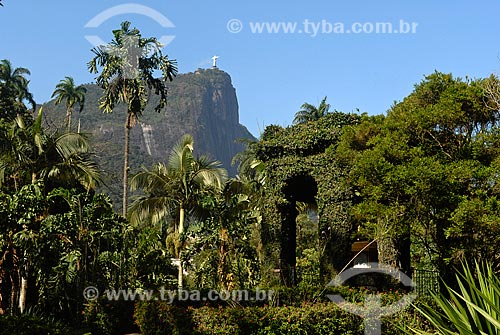  Subject: Frei Leandro Hill (Comoro Frei Leandro) - Botanical Garden / Place: Botanical Garden neighborhood - Rio de Janeiro city - Rio de Janeiro state (RJ) - Brazil / Date: 11/2010 