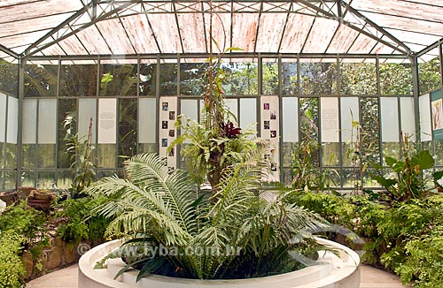  Subject: Carnivorous plant nursery in the Botanical Garden / Place: Botanical Garden neighborhood - Rio de Janeiro city - Rio de Janeiro state (RJ) - Brazil / Date: 11/2010 