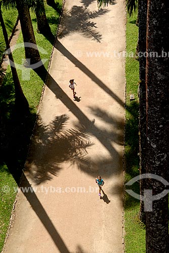  Subject: Kids running in the Botanical Garden / Place: Botanical Garden neighborhood - Rio de Janeiro city - Rio de Janeiro state (RJ) - Brazil / Date: 11/2010 