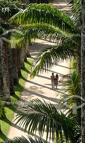  Subject: Couple walking in the Botanical Garden / Place: Botanical Garden - Rio de Janeiro city - Rio de Janeiro state (RJ) - Brazil / Date: 11/2010 
