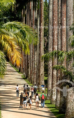  Subject: Tourists walking in the Botanical Garden / Place: Botanical Garden - Rio de Janeiro city - Rio de Janeiro state (RJ) - Brazil / Date: 11/2010 