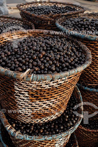  Subject: Basket with Acai fruit / Place: Igarape-Miri city - Para state (PA) - Brazil / Date: 02/2008 