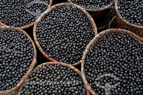  Subject: Basket with Acai fruit / Place: Igarape-Miri city - Para state (PA) - Brazil / Date: 02/2008 