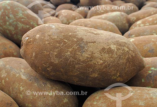  Subject: Cupuaçu fruit on the Ver-o-peso Market / Place: Belem city - Para state (PA) - Brazil / Date: 02/2008 