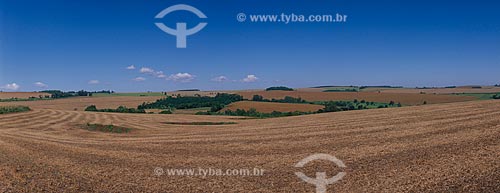  Subject: Plantation of soybeans / Place: São Luis Gonzaga city - Rio Grande do Sul state (RS) - Brazil  / Date: 2010 