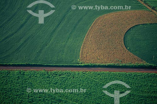  Subject: Plantation of corn and soybeans  / Place: Campo Mourao city - Parana state (PR) - Brazil / Date: 2008 