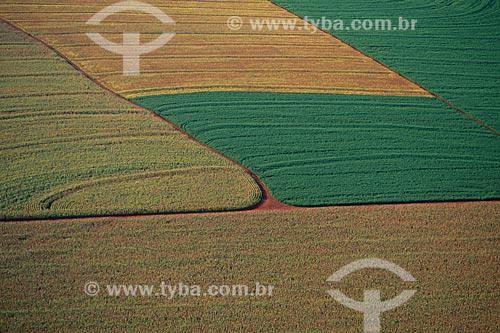  Subject:  Plantation of corn and soybeans  / Place: Campo Mourao city - Parana state (PR) - Brazil / Date: 2008 