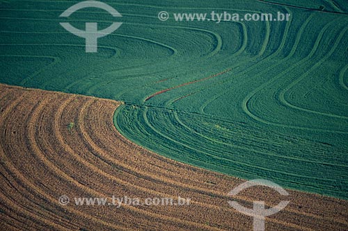  Subject:  Plantation of corn and soybeans  / Place: Campo Mourao city - Parana state (PR) - Brazil / Date: 2008 