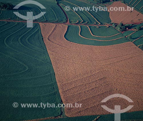  Subject:  Plantation of corn and soybeans  / Place: Campo Mourao city - Parana state (PR) - Brazil / Date: 2008 
