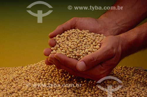  Subject: Hands with soybeans / Place: Studio / Date: 2009 