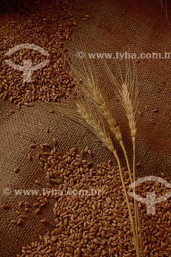  Subject: Branch and wheat grain   / Place: Rio Grande do Sul state (RS) - Brazil / Date: 2009 