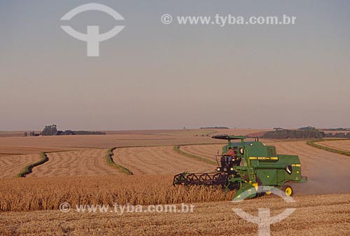 Subject: Soybean harvest / Place: Santo Augusto city - Rio Grande do Sul state (RS) - Brazil / Date: 2007 