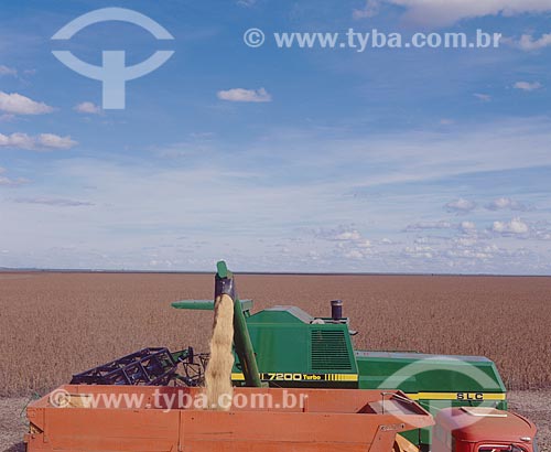  Subject: Soybean harvest / Place: Baus district - Costa Rica city - Mato Grosso do Sul state (MS) - Brazil / Date: 2007 