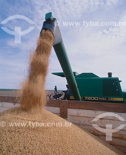  Subject: Unloading of soybeans / Place: Baus district - Costa Rica city - Mato Grosso do Sul state (MS) - Brazil / Date: 2007 