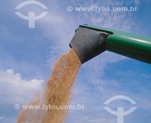  Subject: Unloading of soybeans / Place: Baus district - Costa Rica city - Mato Grosso do Sul state (MS) - Brazil / Date: 2007 