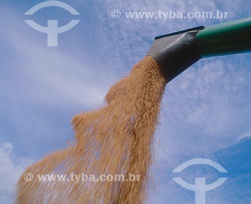  Subject: Unloading of soybeans / Place: Baus district - Costa Rica city - Mato Grosso do Sul state (MS) - Brazil / Date: 2007 