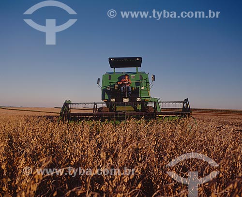  Subject: Soybean harvest / Place: Santo Augusto city - Rio Grande do Sul state (RS) - Brazil / Date: 2007 