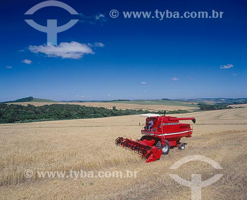  Subject: Wheat harvest / Place: Vacaria city - Rio Grande do Sul state (RS) - Brazil / Date: 2007 
