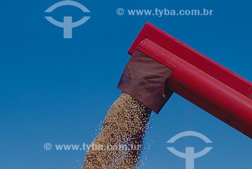  Subject: Unloading wheat / Place: Vacaria city - Rio Grande do Sul state (RS) - Brazil / Date: 2007 