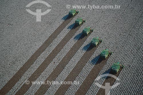  Subject: Cotton harvest / Place: Diamantino city - Mato Grosso state (MT) - Brasil / Date: 2009 