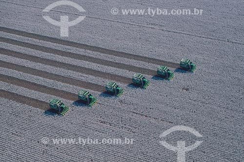  Subject: Cotton harvest / Place: Diamantino city - Mato Grosso state (MT) - Brasil / Date: 2009 