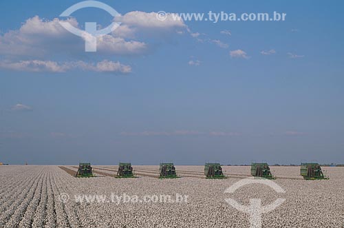  Subject: Cotton harvest / Place: Diamantino city - Mato Grosso state (MT) - Brasil / Date: 2009 