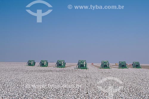  Subject: Cotton harvest / Place: Diamantino city - Mato Grosso state (MT) - Brasil / Date: 2009 