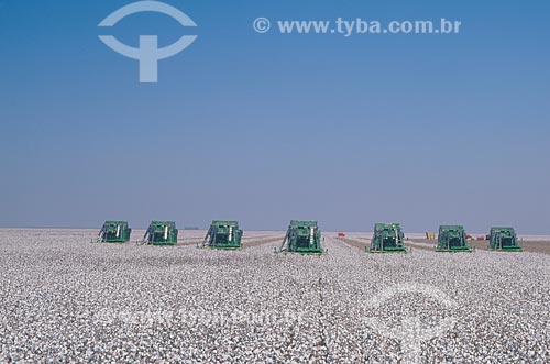  Subject: Cotton harvest / Place: Diamantino city - Mato Grosso state (MT) - Brasil / Date: 2009 