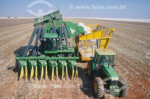  Subject: Cotton harvest / Place: Diamantino city - Mato Grosso state (MT) - Brasil / Date: 2009 