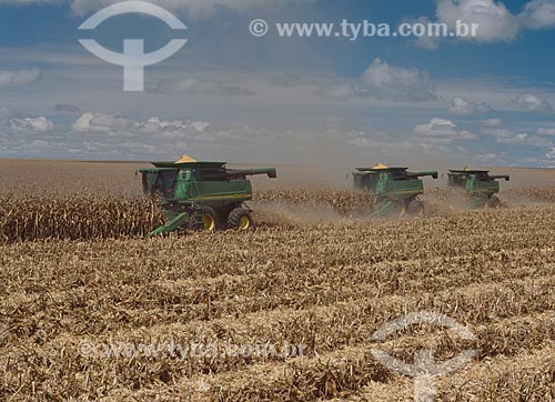  Subject: Corn harvest / Place: Baus district - Costa Rica city - Mato Grosso do Sul state (MS) - Brazil / Date: 2010 