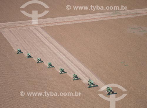  Subject: Soybean harvest / Place: Baus district - Costa Rica city - Mato Grosso do Sul state (MS) - Brazil / Date: 2011 
