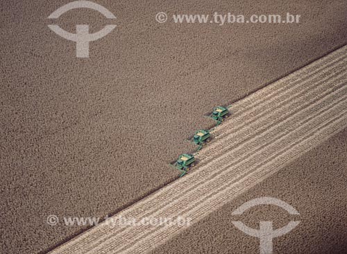  Subject: Corn harvest / Place: Baus district - Costa Rica city - Mato Grosso do Sul state (MS) - Brazil / Date: 2010 