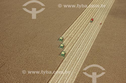  Subject: Corn harvest / Place: Baus district - Costa Rica city - Mato Grosso do Sul state (MS) - Brazil / Date: 2010 