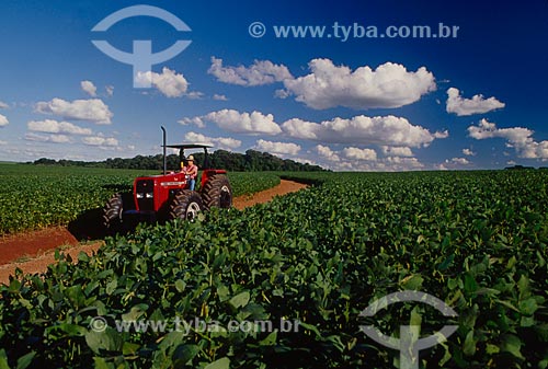  Subject: Soybean planting / Place: Passo Fundo city - Rio Grande do Sul state (RS) - Brazil / Date: 2007 