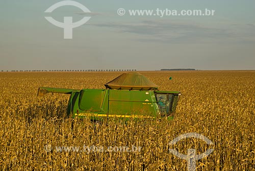  Subject: Corn harvest / Place: Costa Rica city - Mato Grosso do Sul state (MS) - Brazil  / Date: 2010 