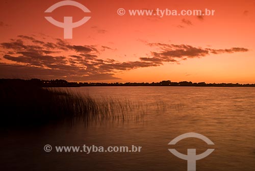  Subject: Custodia lagoon - Bogs in the North Coast (permanently or temporarily flooded areas)  / Place: Tramandai city - Rio Grande do Sul state (RS) - Brazil / Date: 2009 
