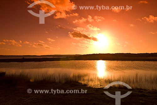  Subject: Custodia lagoon - Bogs in the North Coast (permanently or temporarily flooded areas)  / Place: Tramandai city - Rio Grande do Sul state (RS) - Brazil / Date: 10/2009 
