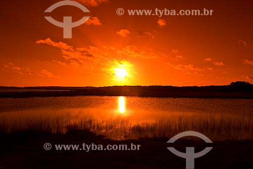  Subject: Custodia lagoon - Bogs in the North Coast (permanently or temporarily flooded areas)  / Place: Tramandai city - Rio Grande do Sul state (RS) - Brazil / Date: 10/2009 