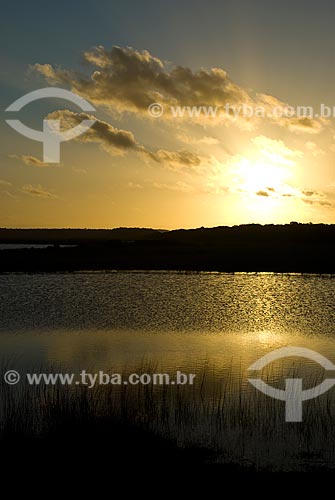  Subject: Custodia lagoon - Bogs in the North Coast (permanently or temporarily flooded areas)  / Place: Tramandai city - Rio Grande do Sul state (RS) - Brazil / Date: 10/2009 