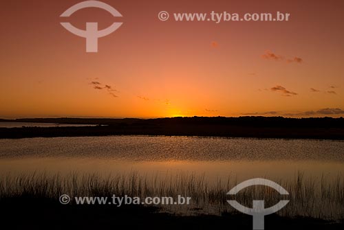  Subject: Custodia lagoon - Bogs in the North Coast (permanently or temporarily flooded areas)  / Place: Tramandai city - Rio Grande do Sul state (RS) - Brazil / Date: 10/2009 