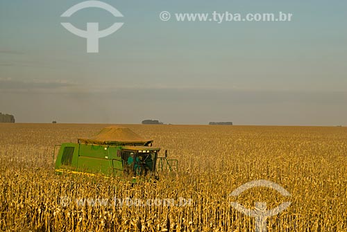  Subject: Corn harvest / Place: Costa Rica city - Mato Grosso do Sul state (MS) - Brazil  / Date: 07/2010 